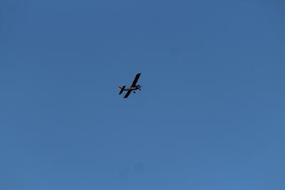 IMG 1667